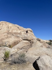 IMG 4376